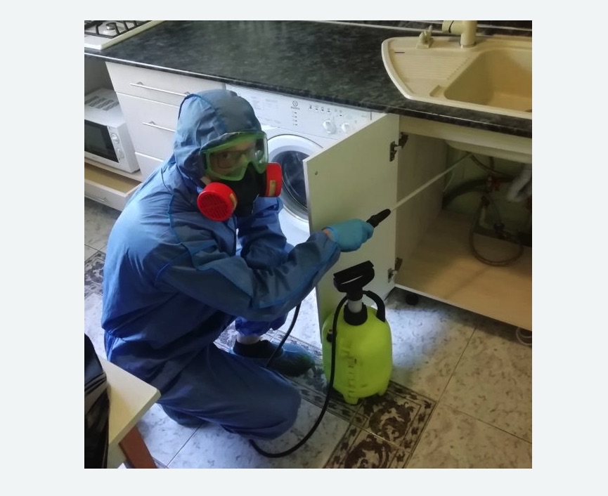 обработка от муравьев в квартире обработка от муравьев в квартире в Климовске