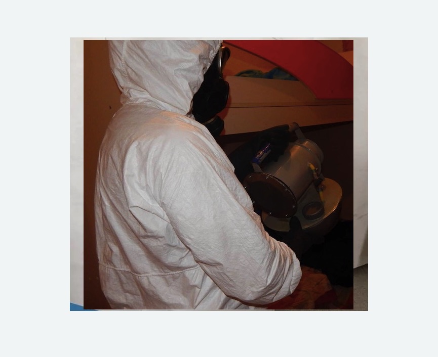 Дезинфекция от муравьев Дезинфекция от муравьев в Климовске