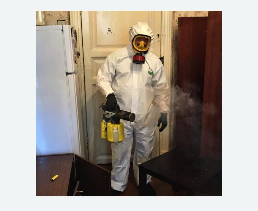 уничтожение муравьев в квартире уничтожение муравьев в квартире в Климовске